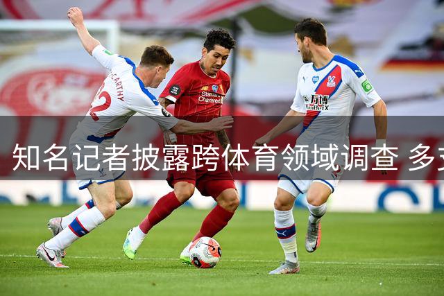 知名记者披露跨体育领域调查 多支职业球队卷入